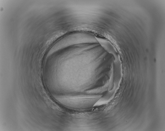 X0000088380673200706121146