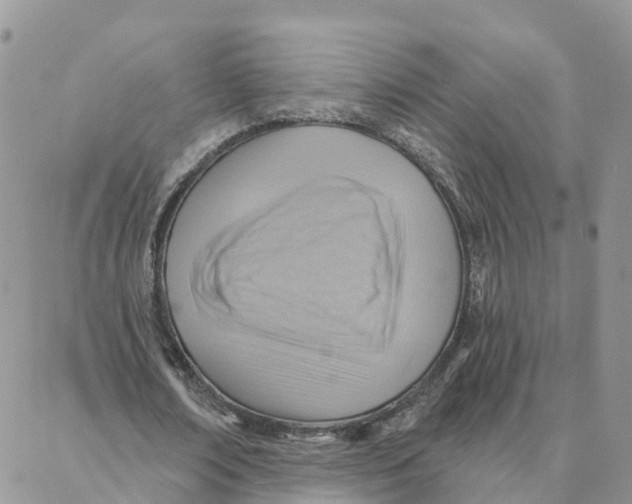 X0000088380674200706121146