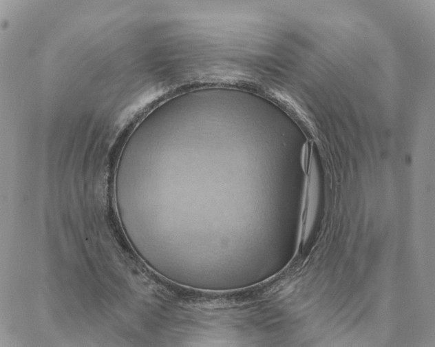 X0000088380675200706121146