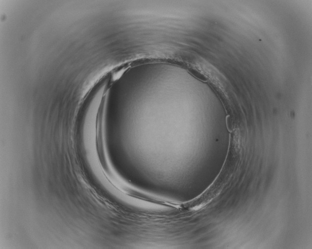 X0000088380676200706121146