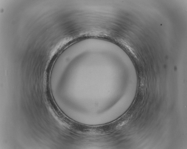 X0000088380678200706121145