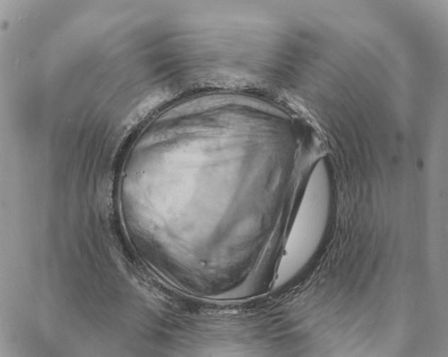 X0000088380679200706121145