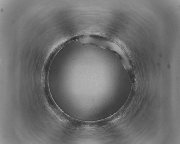 X0000088380680200706121145