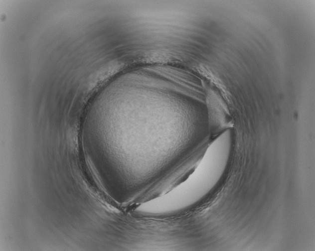 X0000088380681200706121145