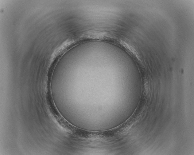 X0000088380682200706121145