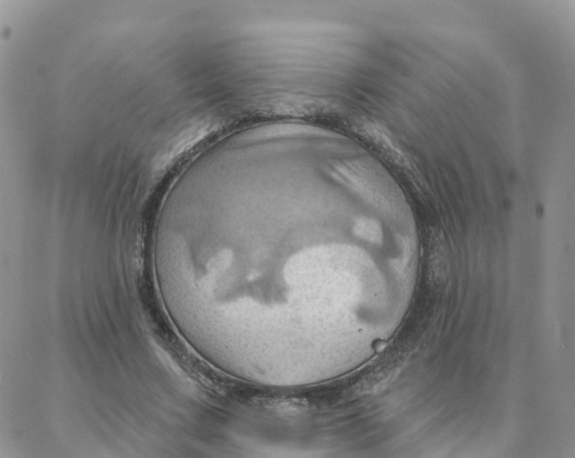 X0000088380683200706121145