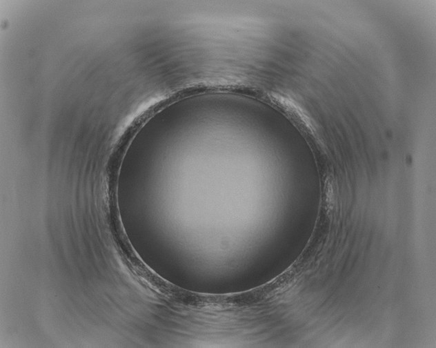 X0000088380684200706121145