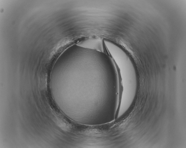 X0000088380685200706121145