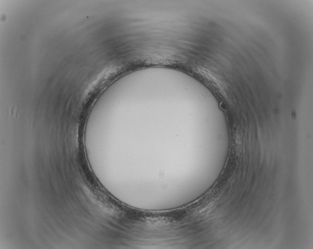 X0000088380686200706121145