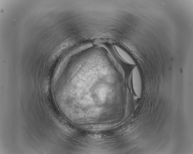 X0000088380687200706121145