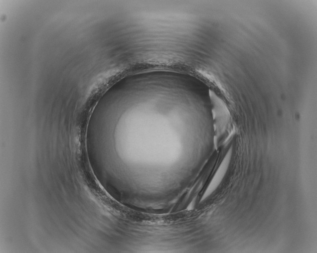 X0000088380688200706121145