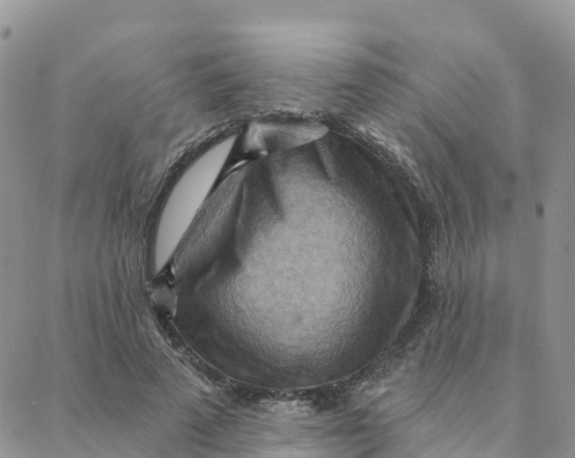 X0000088380689200706121145