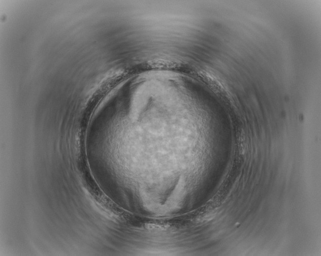 X0000088380690200706121145