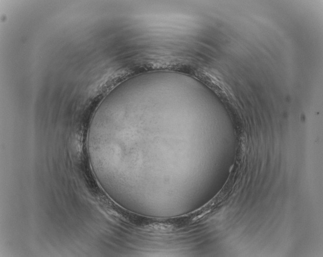 X0000088380691200706121145