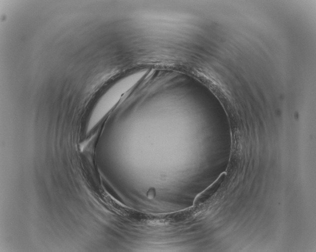 X0000088380692200706121145