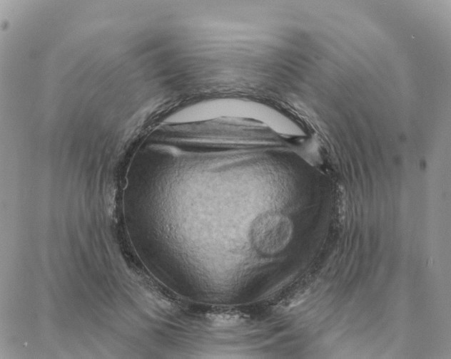 X0000088380693200706121145