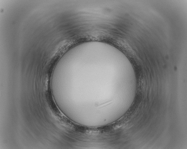 X0000088380694200706121145