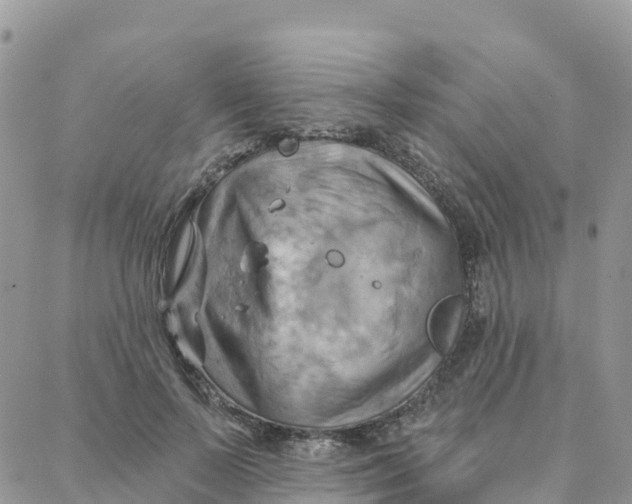 X0000088380695200706121145