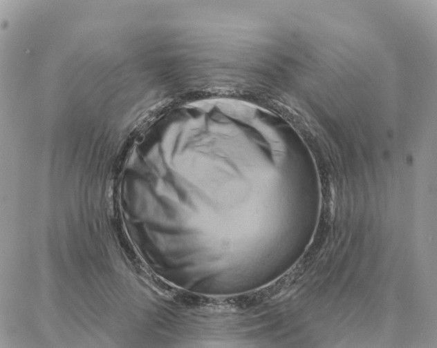 X0000088380696200706121145