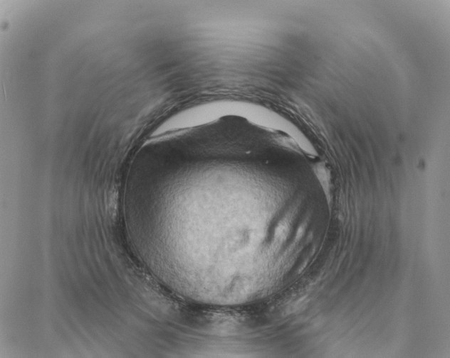 X0000088380697200706121145