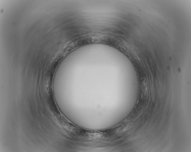 X0000088380698200706121145