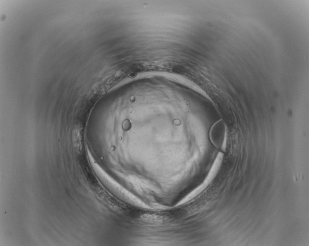 X0000088380699200706121145