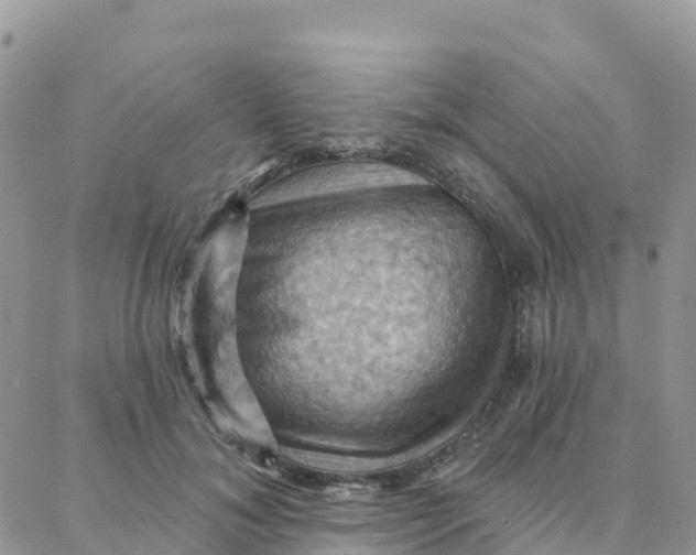 X0000088380700200706121145