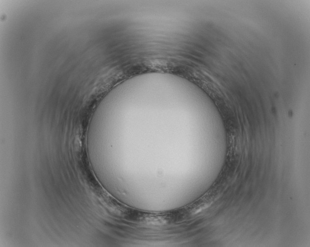 X0000088380702200706121145