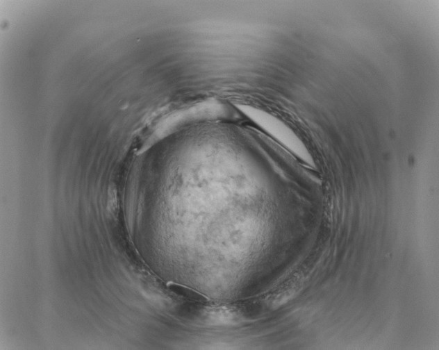 X0000088380704200706121145