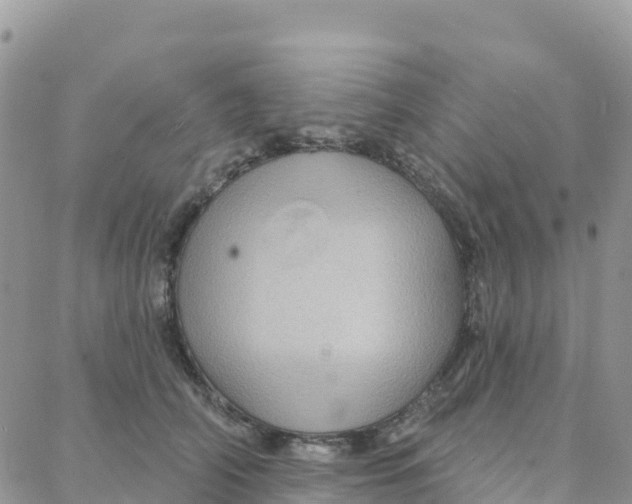 X0000088380706200706121145