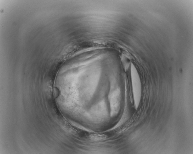 X0000088380707200706121145