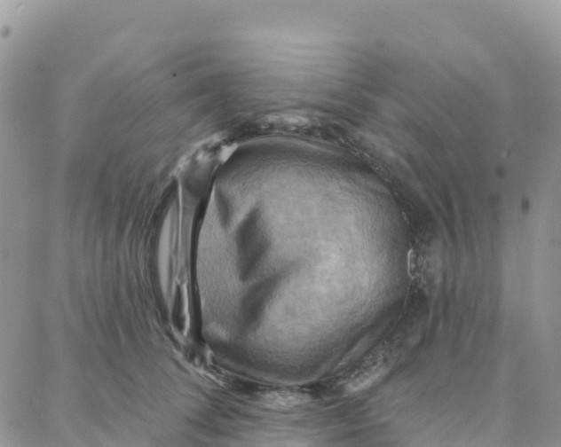 X0000088380708200706121145