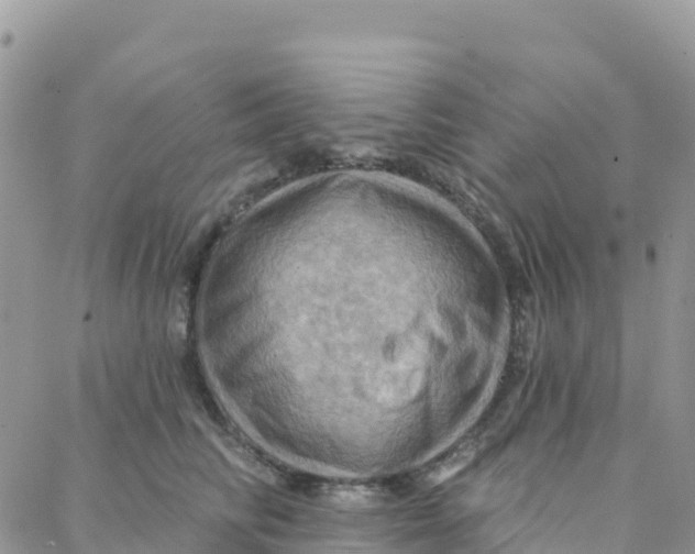 X0000088380710200706121145