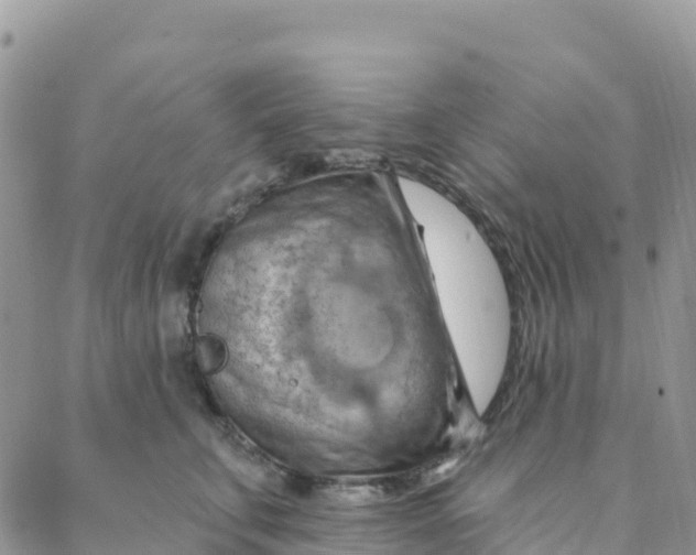 X0000088380711200706121145