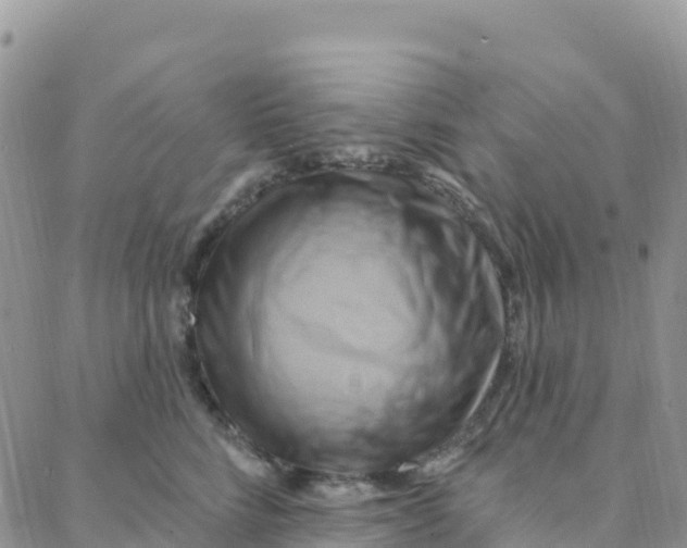 X0000088380712200706121145