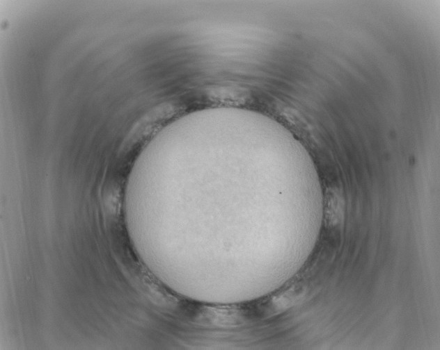 X0000088380713200706121145