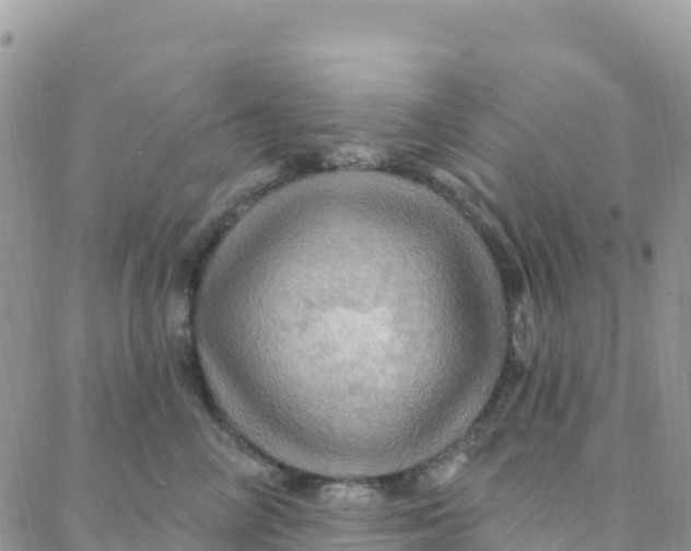 X0000088380714200706121145