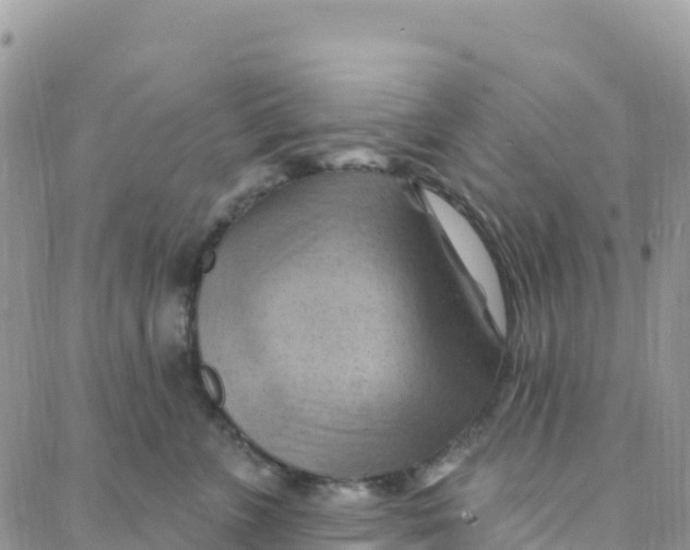 X0000088380715200706121145