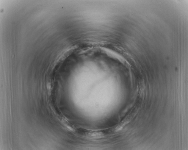 X0000088380716200706121145