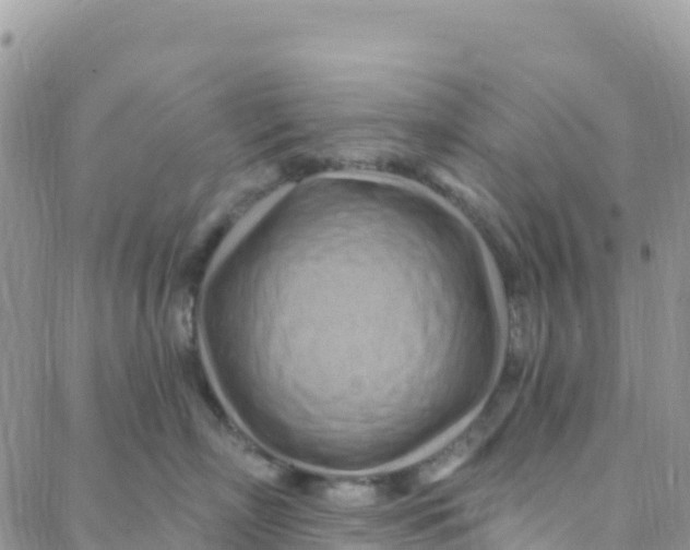 X0000088380718200706121145