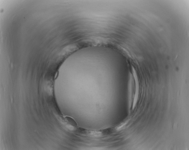 X0000088380719200706121145