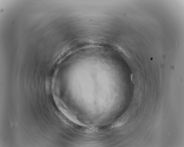 X0000088380720200706121145