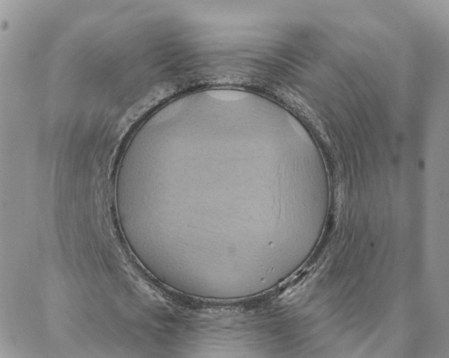 X0000088380721200706121144