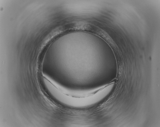 X0000088380722200706121144