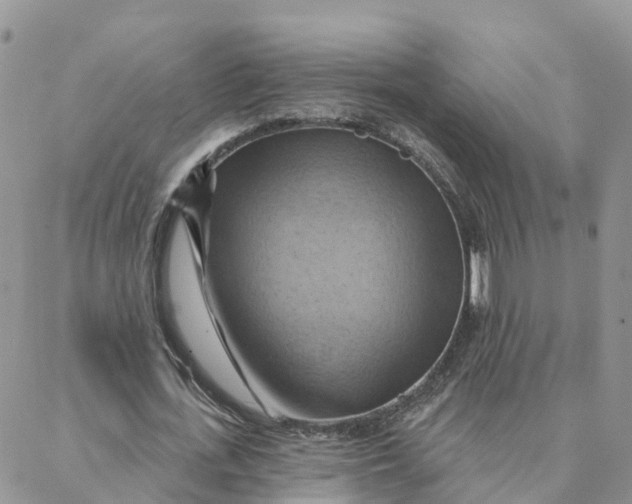 X0000088380723200706121144