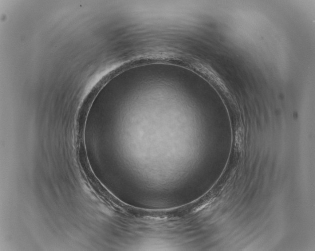 X0000088380724200706121144