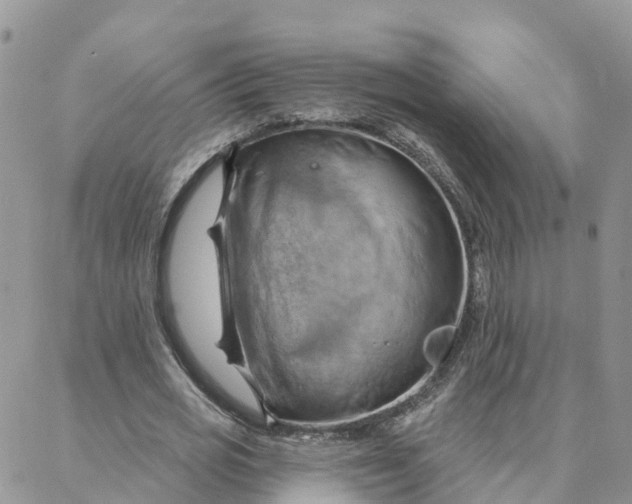 X0000088380725200706121144