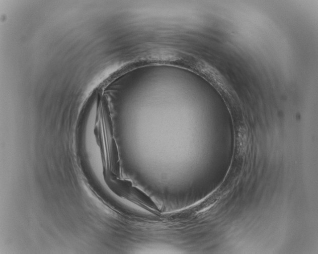 X0000088380726200706121144