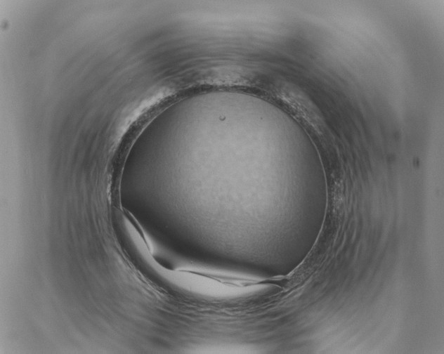 X0000088380727200706121144