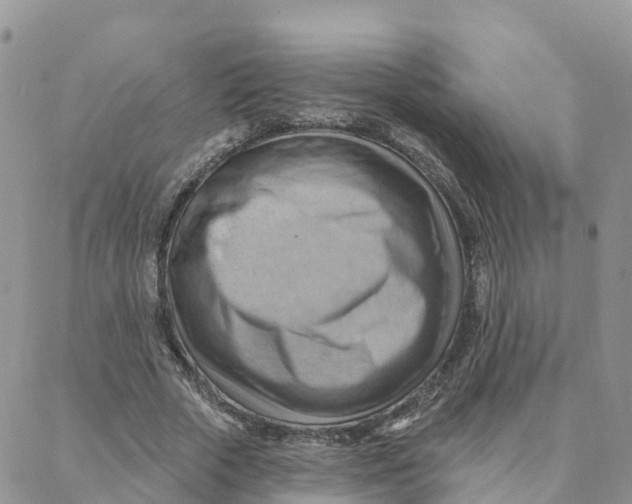 X0000088380729200706121144